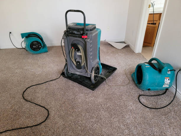Best Ceiling water damage repair  in Marysville, CA