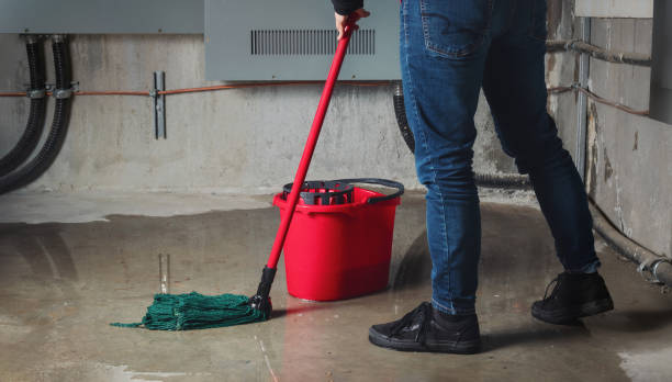 Best 24/7 water damage repair  in Marysville, CA