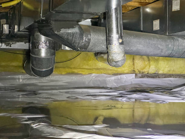 Best Water damage cleanup near me  in Marysville, CA