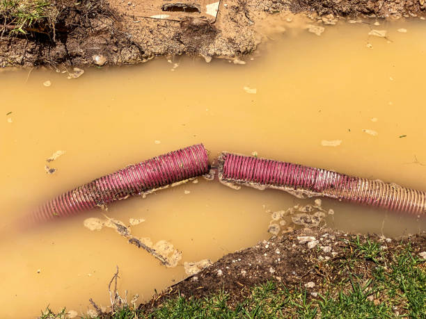 Best 24-hour water damage restoration  in Marysville, CA