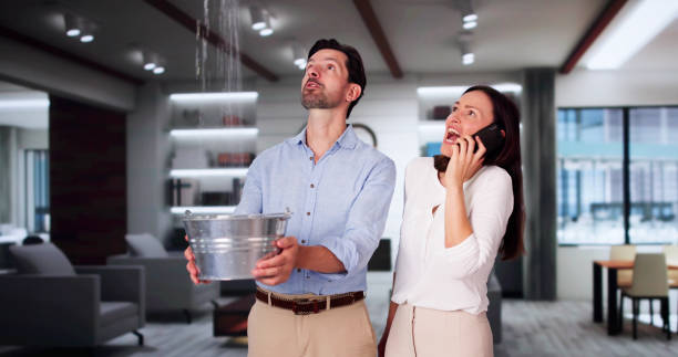 Best Local water damage restoration  in Marysville, CA